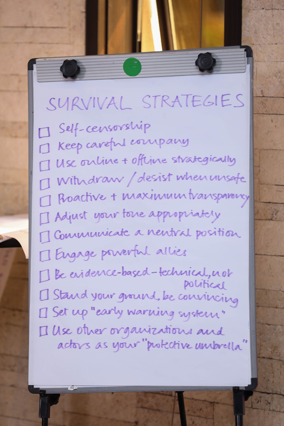 'Survival strategies’ devised by workshop participants.