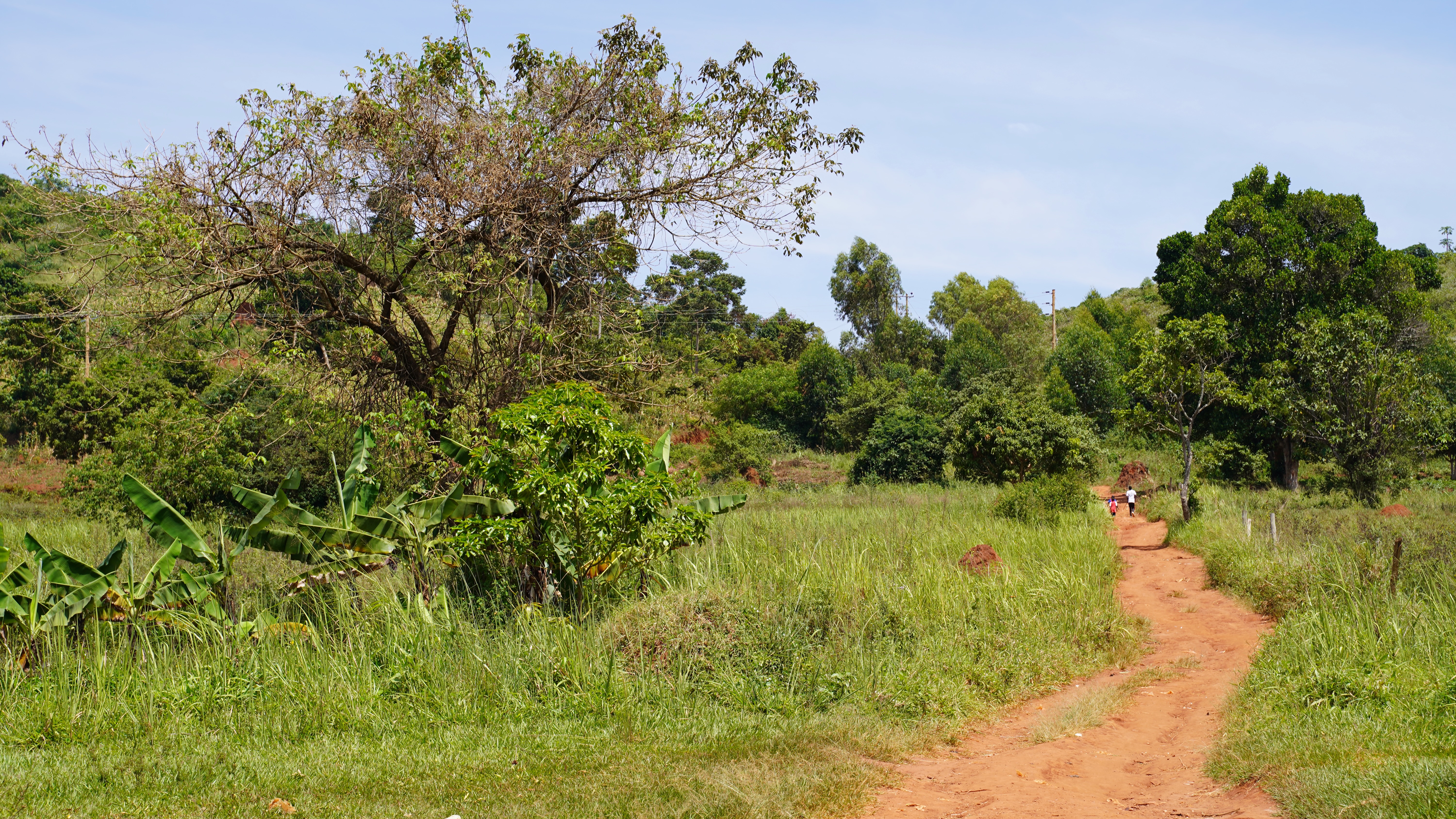 A country road in the Buikwe District, Uganda. Photo: Caspar Haarløv