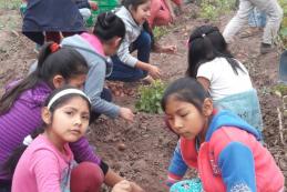 Students working in the school garden. May 27 School; Puesto García community; Villa Montes municipality; Quechua region.